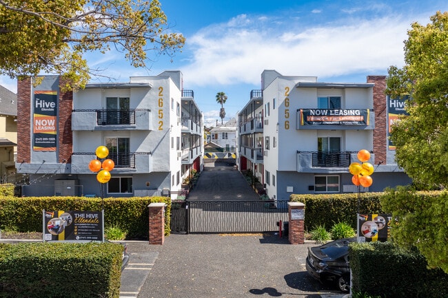 The Hive On Ellendale USC Student Housing