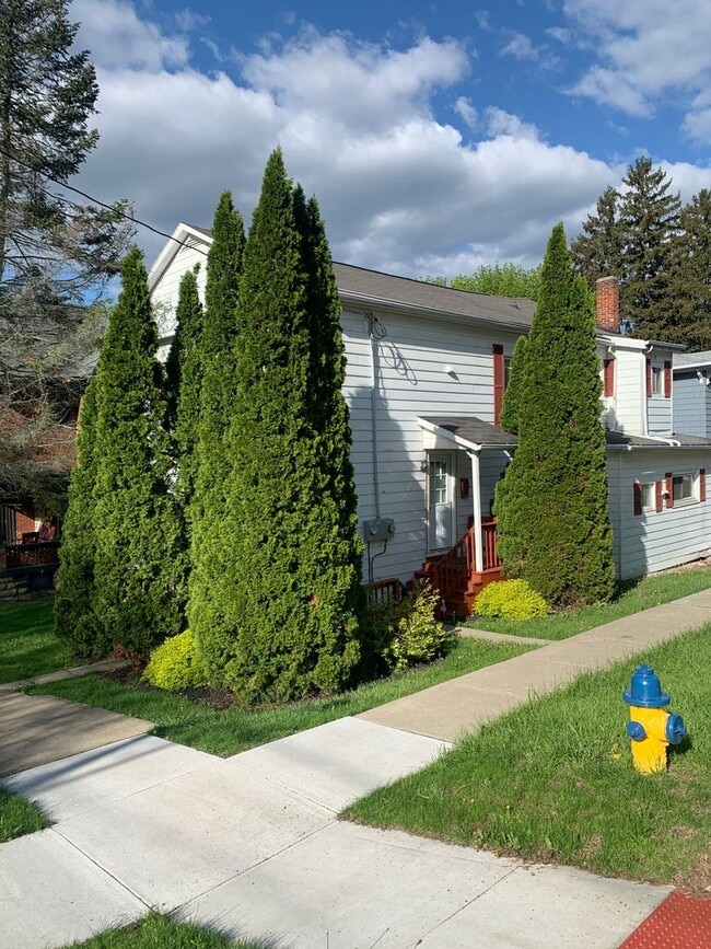 174 Cedar St in Corning, NY - Building Photo - Building Photo