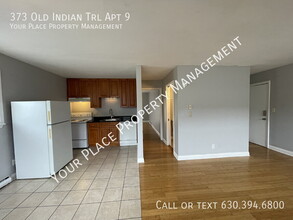373 Old Indian Trail in Aurora, IL - Building Photo - Building Photo