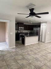 27515 Desert Willow Way in Wesley Chapel, FL - Building Photo - Building Photo