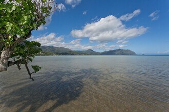 47-147-147 Kamehameha Hwy in Kaneohe, HI - Building Photo - Building Photo