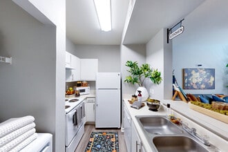 Cadence at Southern in Baton Rouge, LA - Building Photo - Building Photo