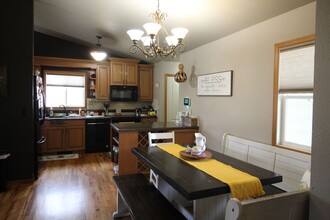 1000 Meadow Ct in Windsor, CO - Building Photo - Building Photo