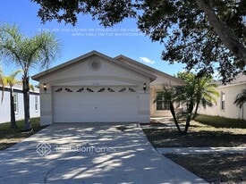 11157 Summer Star Dr in Riverview, FL - Building Photo