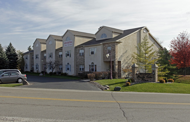 College Court