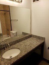 474 N Lake Shore Dr-Unit -2003 in Chicago, IL - Building Photo - Building Photo