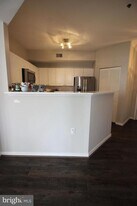 1641 International Dr in McLean, VA - Building Photo