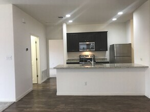 13921 Mark Christopher Wy in Manor, TX - Building Photo - Building Photo