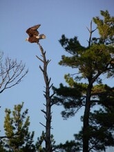 4152 Satuit Ln, Unit 3 in Rhinelander, WI - Building Photo - Building Photo