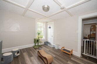 5 Dayton Pl, Unit 2 in Worcester, MA - Building Photo - Building Photo