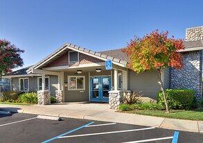Marsh Creek Apartments in Brentwood, CA - Building Photo