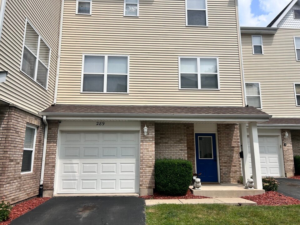 289 Pamela Ct in Antioch, IL - Building Photo