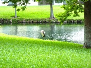 11237 Kapok Grand Cir in St. Petersburg, FL - Building Photo - Building Photo