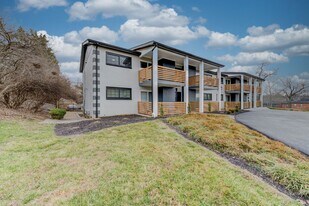 1-3 Heartwoods Ct in St. Louis, MO - Building Photo