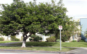 325 Milford St in Glendale, CA - Building Photo - Building Photo