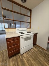 1172 S Lincoln Ave in Salem, OH - Building Photo - Building Photo