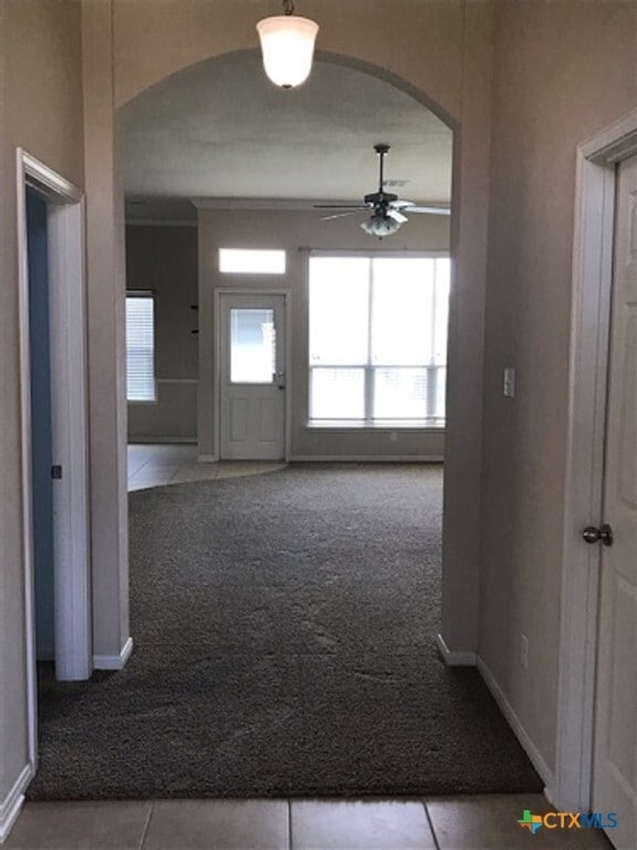 7526 Red Valley Way in Temple, TX - Building Photo - Building Photo