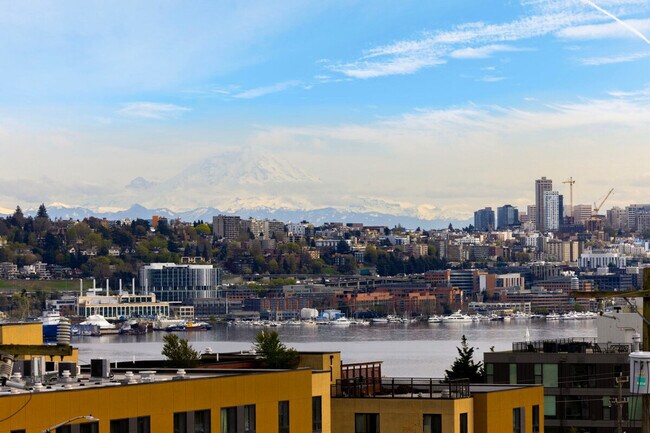 4036 Linden Ave N in Seattle, WA - Building Photo - Building Photo