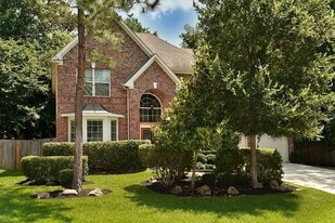 14 Filigree Pines Pl in Spring, TX - Building Photo