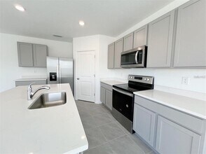 7307 Broad River Ave in Land O Lakes, FL - Building Photo - Building Photo