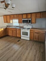 1107 Hibiscus Rd in Moneta, VA - Building Photo