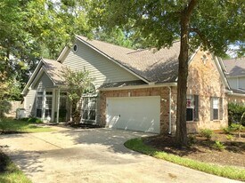 3 N Spiral Vine Cir in Spring, TX - Building Photo