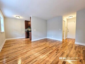 510 W Briar Pl in Chicago, IL - Building Photo - Building Photo
