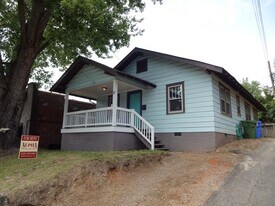 12 E Chestnut St in Asheville, NC - Building Photo