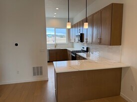 4036 Ascend Grv in Colorado Springs, CO - Building Photo