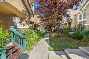 5006 Starling St in Danville, CA - Building Photo