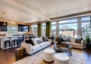 110 Pear Lake Way in Erie, CO - Building Photo - Building Photo