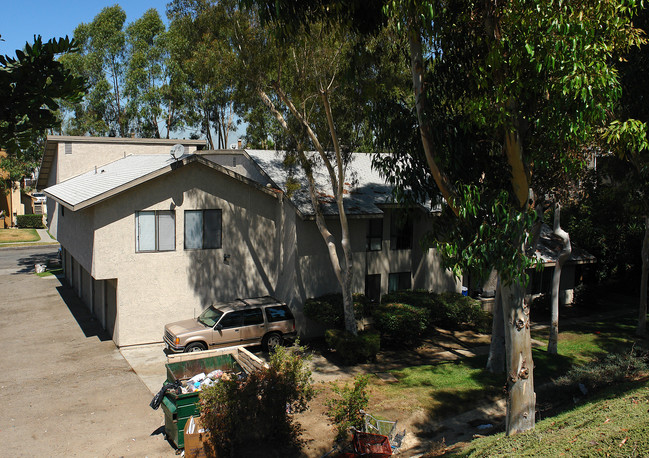 Saguaro Street Apartments in Lake Forest, CA - Building Photo - Building Photo