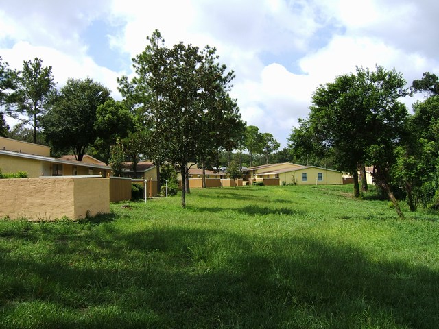 Laurel Oaks in DeLand, FL - Foto de edificio - Building Photo