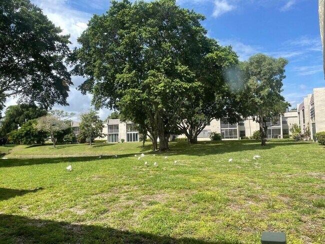 property at 2800 Fiore Way