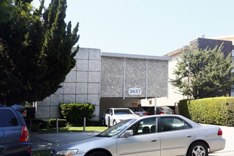 3637 Mentone Ave in Los Angeles, CA - Foto de edificio - Building Photo