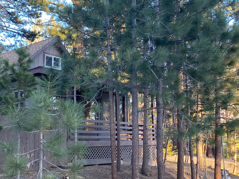 2890 Sacramento Ave in South Lake Tahoe, CA - Building Photo