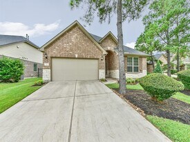 7 Painted Post Pl in Spring, TX - Building Photo