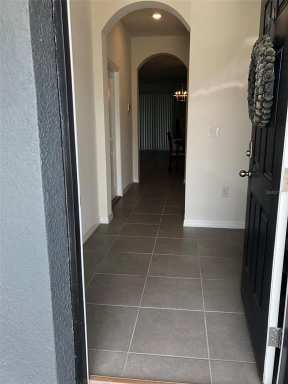 16143 Glowing Grove Ave in Odessa, FL - Building Photo - Building Photo
