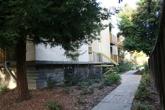 Bonifacio East Apartments in Concord, CA - Building Photo - Building Photo