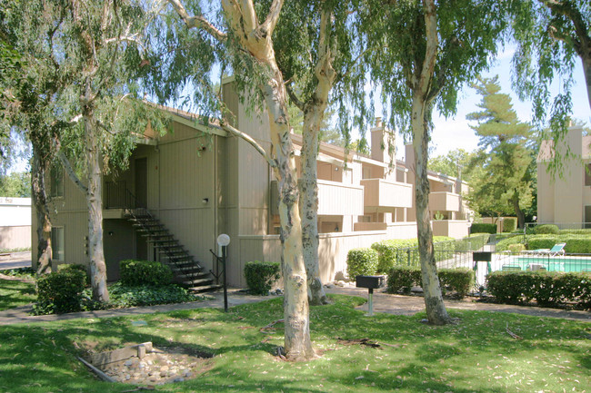 Sierra Woods Apartments in Sacramento, CA - Building Photo - Building Photo