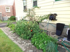 345 Courtland Ave in Bridgeport, CT - Building Photo - Building Photo