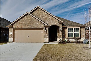 11113 Ranchera Dr in Aubrey, TX - Building Photo