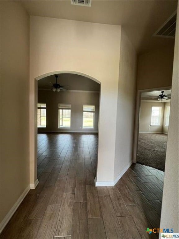 2638 Bolzano Trl in Temple, TX - Building Photo - Building Photo