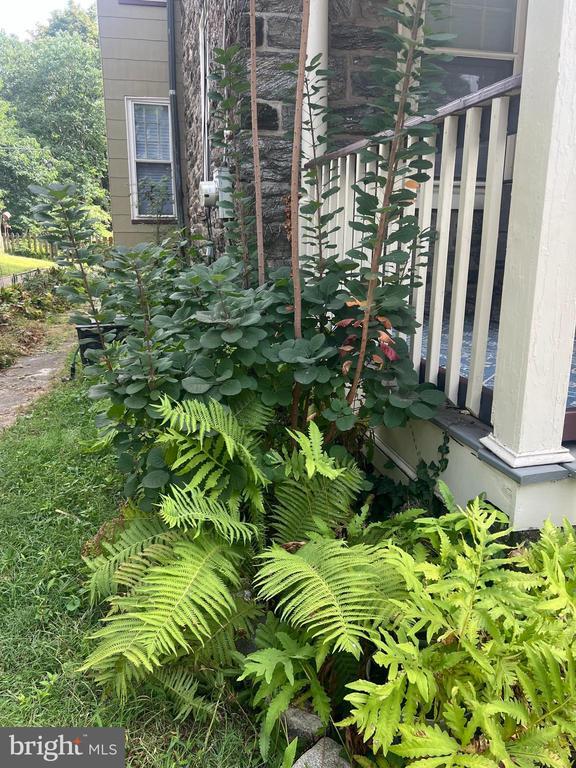 128 W Mt Pleasant Ave