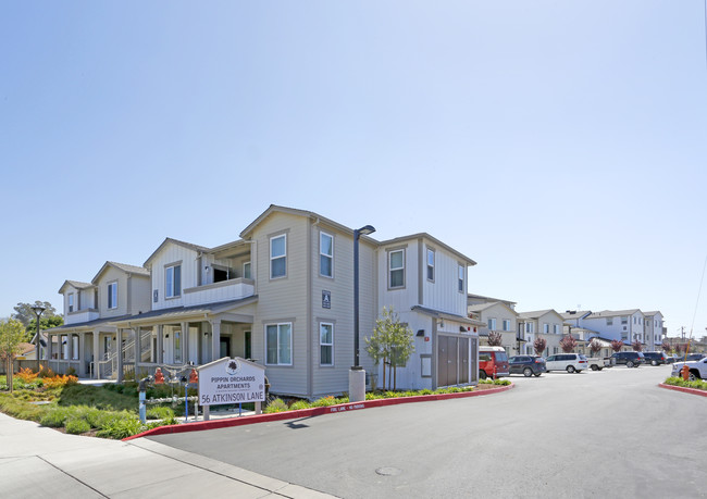 Pippin Orchards in Watsonville, CA - Building Photo - Primary Photo