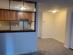 5 Viking Ct in Arlington, MA - Building Photo - Building Photo