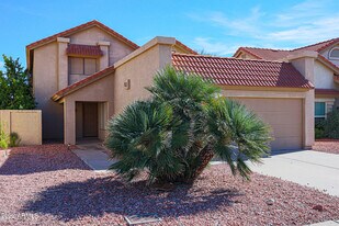 14443 S Cholla Canyon Dr in Phoenix, AZ - Building Photo