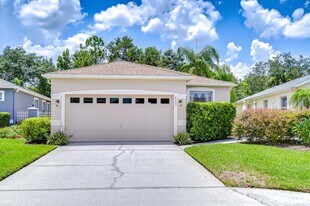 8005 Shaddock Pl in Land O Lakes, FL - Building Photo