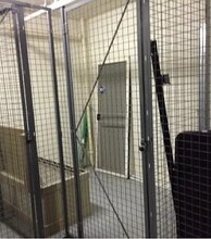 4455 Botanical Pl Cir in Naples, FL - Building Photo - Building Photo