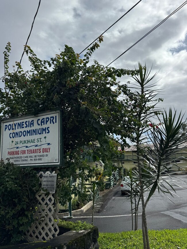 24 Pukihae St in Hilo, HI - Building Photo - Building Photo
